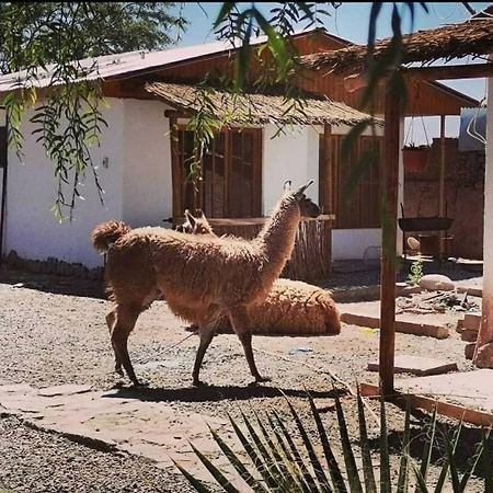 סן פדרו דה אטקאמה Cabanas Voyage Atacama מראה חיצוני תמונה