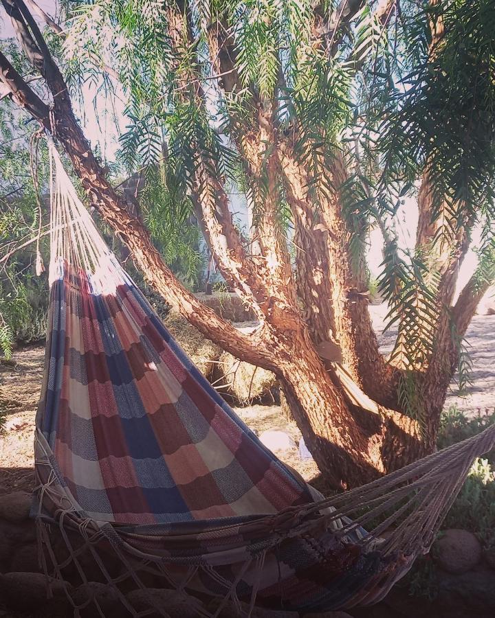סן פדרו דה אטקאמה Cabanas Voyage Atacama מראה חיצוני תמונה