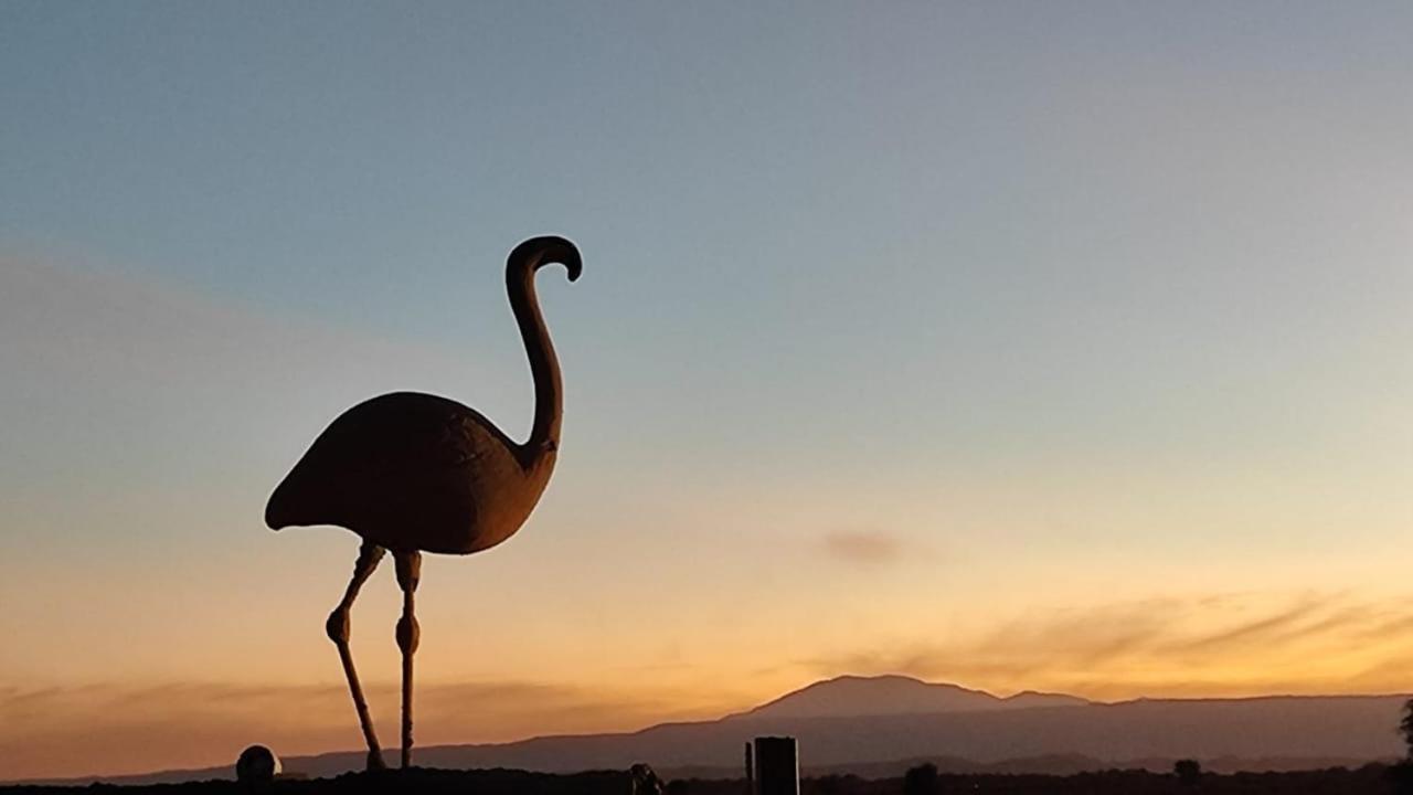סן פדרו דה אטקאמה Cabanas Voyage Atacama מראה חיצוני תמונה
