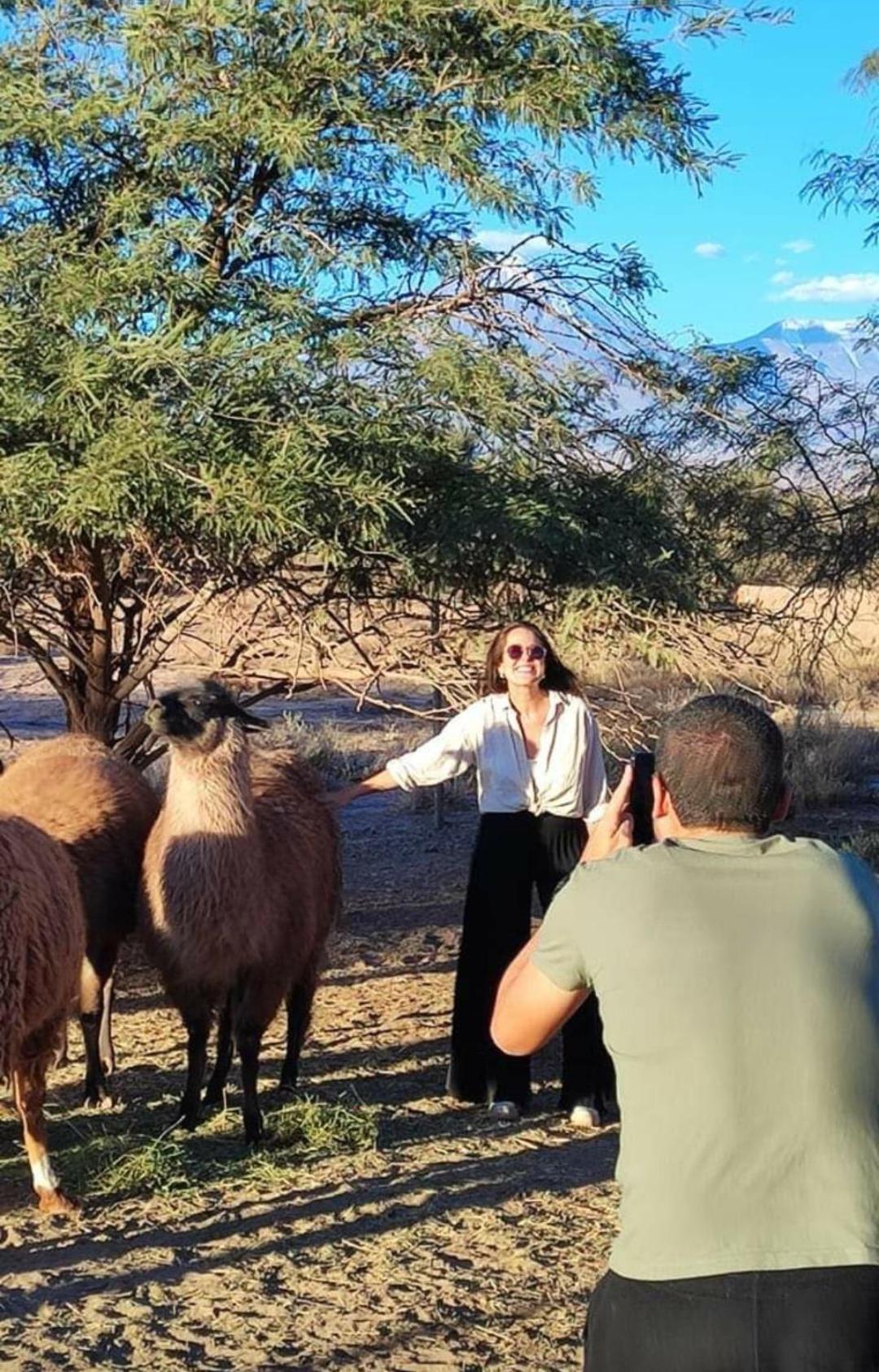 סן פדרו דה אטקאמה Cabanas Voyage Atacama מראה חיצוני תמונה
