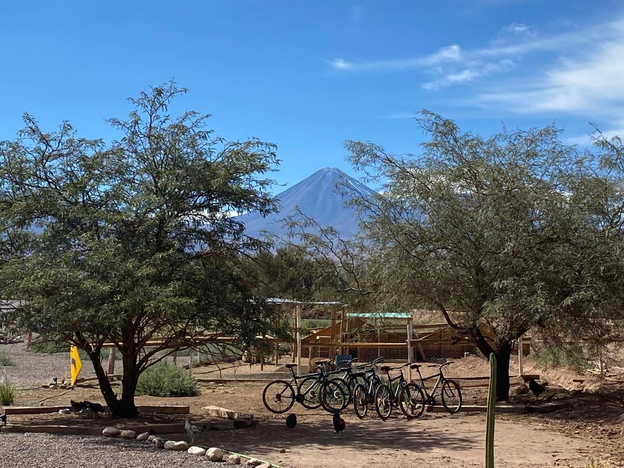 סן פדרו דה אטקאמה Cabanas Voyage Atacama מראה חיצוני תמונה