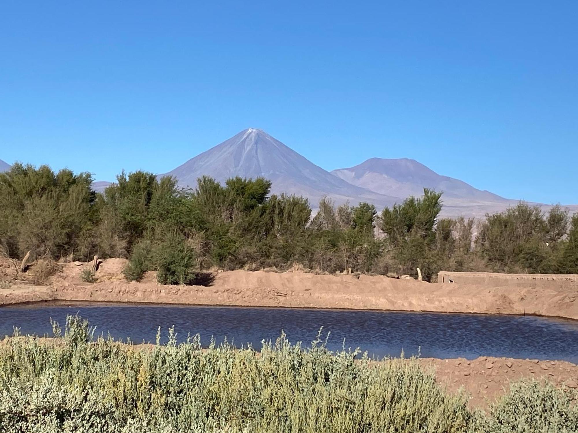 סן פדרו דה אטקאמה Cabanas Voyage Atacama מראה חיצוני תמונה